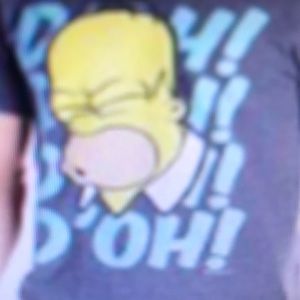 Meet your Posher, Hrace